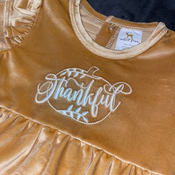 18/24 m Velvet Fawn Velvety Thanksgiving Thankful Super Soft Bubble Romper - Picture 2 of 10